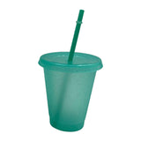 Maxbell Plastic Water Bottle Straw Cup Modern for Travel Shopping Friends Gifts light green 500ml