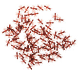 Maxbell 100 Piece Plastic Fake Ants Model Figure Set Kids Toy Party Favors Brown