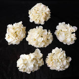 Max 6Pcs Artificial Hydrangea Flower Head DIY Wedding Decor Light yellow