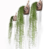 Max Artificial Flower String of Pearls Wicker Wall Hanging Succulents Plants C