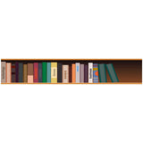 Max 3D Stair Risers Decal Self Adhesive Ladder Step Mural Sticker  Bookcase_A