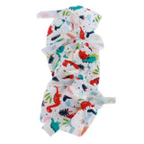 Maxbell Cat Recovery Suit Kitten Recovery Protective Coat Clothes Small Dinosaur S