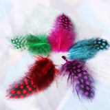 Maxbell 50pcs Mixed Color Guinea Hen Feathers DIY Accessories Spots Feather