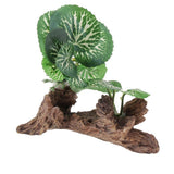 Max Resin Artifical Water Grass Plant For Reptile or Aquarium Tank Green Type 3