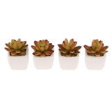 Max Artificial Succulent Plant Potted Cactus Lotus Aloe Miniature Plant 4Pcs #3