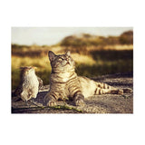 Maxbell DIY 5D Diamond Embroidery Painting Cross Stitch Kit Crafts Cat