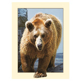 Maxbell DIY 5D Diamond Painting Embroidery Cross Stitch for Home Decor Bear