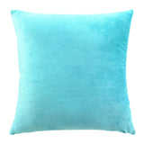 Max Decorative Throw Pillow Cover Velvet Cushion Cover Pillowcase Blue 50 x 50cm