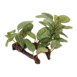 Maxbell Artificial Aquatic Plant for Aquarium Fish Tank Landscape 1