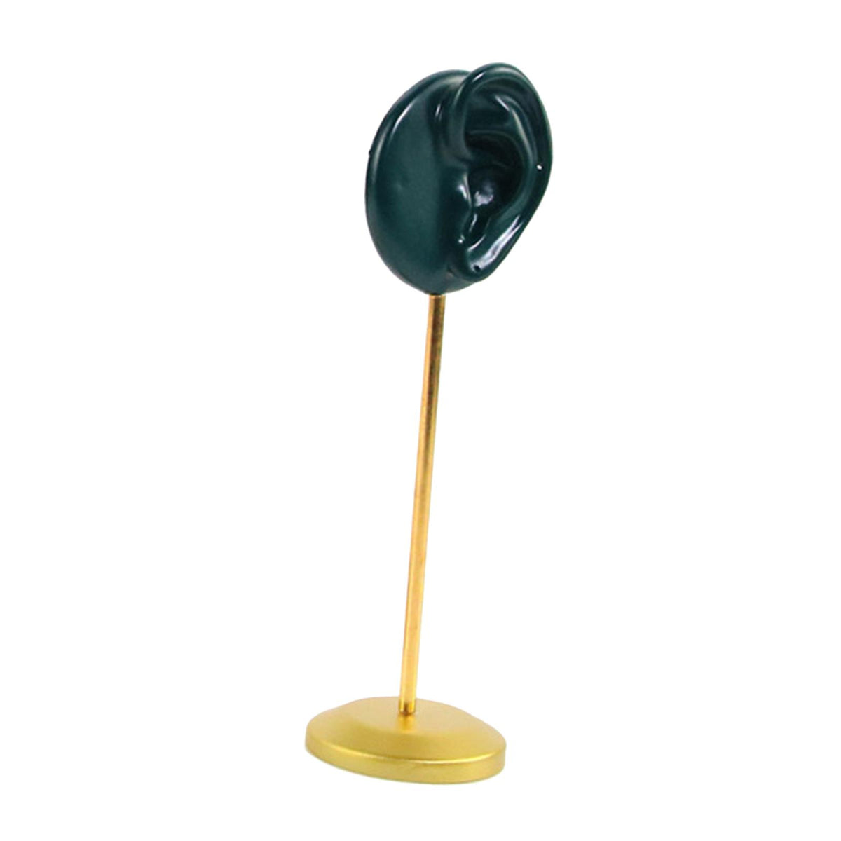 Maxbell Durable Earring Display Stand Resin Ear Model Stud Holder Showcase Stable Right
