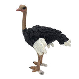 Max Figurines Animals Model Action Figures for Kids Collection Toys Ostrich