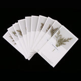 Maxbell 10pcs Dried Flowers Greeting Floral Thank You Cards Limonium