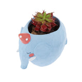 Maxbell Artificial Succulent Plastic Mini Lotus Home Fairy Floral Real Touch Decor