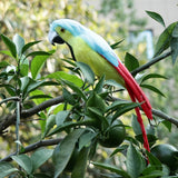 Maxbell Simulation Artificial Feathered Parrot Bird Animal Model Toy Home Decor E