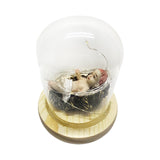 Maxbell Infant Jesus Figurine Miniature Sculpture Resin Statue for Home Decor Gifts