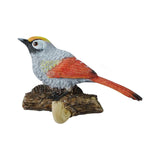 Maxbell Birds On A Branch Hanger Hanging Outdoor Tiles Resin Wall Coat Hook for Robe Red 13x4.5x8.5cm