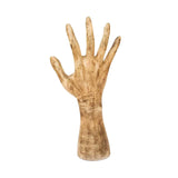 Maxbell Hand Shaped Scene Props Organiser Halloween Decoration for Living Room Right Hand