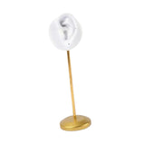 Maxbell Resin Ear Stud Holder Hanger Ear Model Durable for Home Salon Tabletop Right