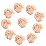 Maxbell 10 Pieces Artificial Rose Flower Head DIY Wedding Decorations Pink Champagne