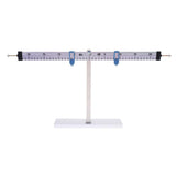 Max Scientific Lever Balance Lever Scale Physics Teaching Experiment for Student