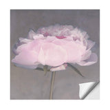 Max Wall Sticker Plant Flower Living Room Bedroom Restaurant Wall Sticker 1