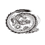 Maxbell Aquarium Background Fish Tank Reptile Vivarium Wallpaper Dragon XS