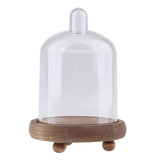 Maxbell Clear Cake Stand Cupcake Plate Cake Dome Lid Display Low Light caffeine - Aladdin Shoppers