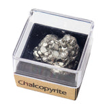 Maxbell Irregular Shape Rough Stone Science Mineral Rock Specimens for Desk Adult Chalcopyrite