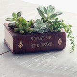 Maxbell Garden Planter Vintage Book Flower Cactus Succulent Plant Pot Box Container