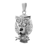 Maxbell Chubby Perched Crystal Owl Bird Memorial Keepsake Ash Urn Pendant Wife