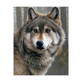 Maxbell 5D Diamond Embroidery Painting Kits Rhinestone Picture Home Wall Decor 2