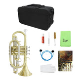 Max LADE Professional Bb Flat Cornet Brass Instrument with Carrying Case Gloves