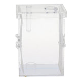 Maxbell Small Reptiles Feed Box For Mantis, Centipede, Spider, etc L