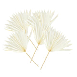 Maxbell 5 Pieces Dried Palm Leaves with Stem Large for Home Arrangement