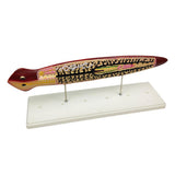 Max Biological Anatomical Planaria Insect Model Teaching Display Lab Supplies