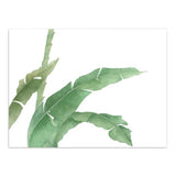 Maxbell Green Plant Canvas Oil Painting Picture Unframed Wall Art  banana leaf L