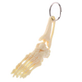 Maxbell Human Skeleton Foot and Ankle Joint Model Key Chain Key Ring Creative Gift