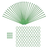 Maxbell 30Pcs Plant Support Stakes Green Plant Stake for Vegetable Tomato Greenhouse