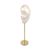 Maxbell Earring Display Stand Human Ear Model Stud Holder Showcase Jewelry Organizer Left Ear White