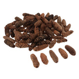 Maxbell 1KG Pine Cone Pineal Nuts Party Decoration Adornment Vase Bowl Fillers 1-6cm