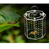 Maxbell Spider Insect Reptile Tank Vivarium Cage Box Clear Acrylic Terrarium