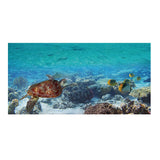 Max 3D Wall Sticker Self Adhesive Tile Wall Sticker DIY Floor Decor Marine Fish