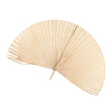 Maxbell Dried Palm Leaves Dried Flower for Window Reception Party Photo Props 50CM