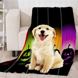 Maxbell Pet Dog Cat Mat 3D Digital Printing Blanket Cushion Pad Colorful Pumpkins