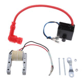 Max CDI Ignition Coil Magneto Set for 49-80cc 2-Stroke Scooters Dirt Bike