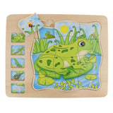 Maxbell Wooden Frog Animal Block Puzzle Board Montessori Educational Matching Toy