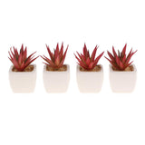 Max Artificial Succulent Plant Potted Cactus Lotus Aloe Miniature Plant 4Pcs #11