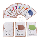 Max 12Pcs/set Kindergarten Kids Toddlers Learn to Read Flash Cards Color