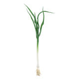 Max Green Artificial Food Vegetable and Fruit Models Garlic Shallot Garlic 40cm