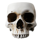Maxbell Modern Resin Skull Head Flower Pot Planter Container for Home Garden Decor
